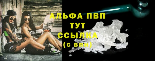 эйфоретик Новокубанск