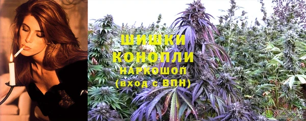 гидропоника Новозыбков