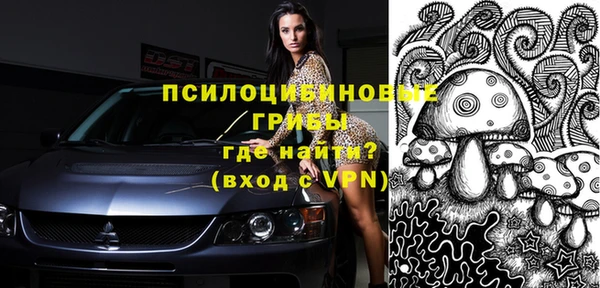эйфоретик Новокубанск
