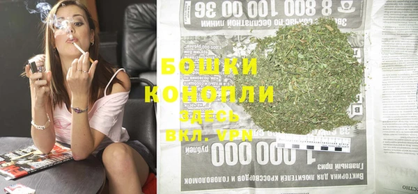 гидропоника Новозыбков