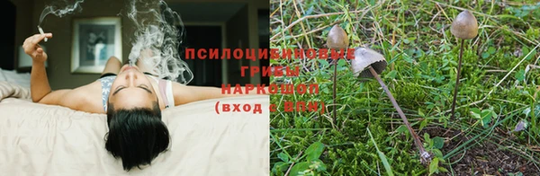 эйфоретик Новокубанск