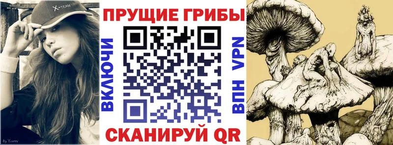 omg ONION Армавир Галлюциногенные грибы мухоморы