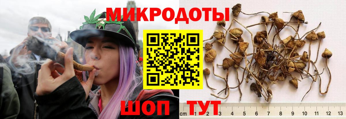 Псилоцибиновые грибы MAGIC MUSHROOMS  Псилоцибиновые грибы мицелий  Армавир 