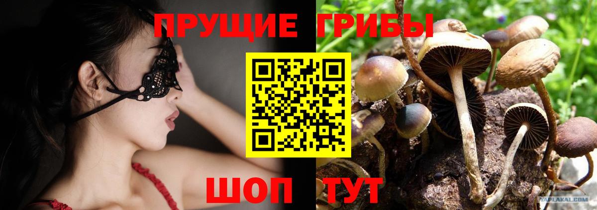 где продают   Вход с VPN  Галлюциногенные грибы ЛСД  Армавир  Галлюциногенные грибы мухоморы 